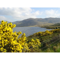 รูปถ่าย ไอร์แลนด์(Ireland) เคอร์รี่(Kerry) ทะเลสาบคารา(Caragh Lake) 2004-05 37