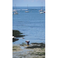 รูปถ่าย ฝรั่งเศส(France) เพรฟาย(Prefailles) แหลมแซ็ง-ฌีลดา(La pointe Saint Gildas) 2007-08 66