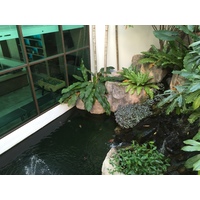 รูปถ่าย ไทย(Thailand) โรงแรมแมริออท ระยอง(Marriott Rayong) 2016-01 160