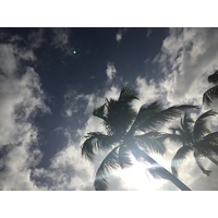 รูปถ่าย กวาเดอลูป(Guadeloupe) แซ็งตาน(Sainte Anne) 2021-02 34