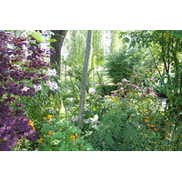 รูปถ่าย ฝรั่งเศส(France) ฌีแวร์นี(Giverny) 2013-06 203