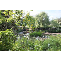 รูปถ่าย ฝรั่งเศส(France) ฌีแวร์นี(Giverny) 2013-06 171