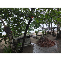 รูปถ่าย คอสตาริกา(Costa Rica) ปวยร์โตเบียโฆเดตาลามังกา(Puerto Viejo de Talamanca) 2015-03 133