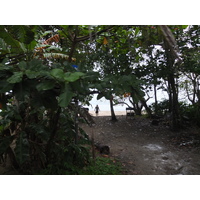 รูปถ่าย คอสตาริกา(Costa Rica) ปวยร์โตเบียโฆเดตาลามังกา(Puerto Viejo de Talamanca) 2015-03 119