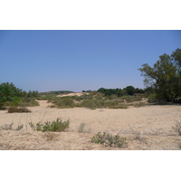 รูปถ่าย อิสราเอล(Israel) นิทซาน(Nitzan) 2007-06 92