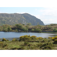 รูปถ่าย ไอร์แลนด์(Ireland) เคอร์รี่(Kerry) ทะเลสาบคารา(Caragh Lake) 2004-05 17