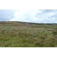 รูปถ่าย อังกฤษ(United Kingdom) อุทยานแห่งชาติแคร์นกอร์มส์(Cairngorms National Park) 2011-07 32