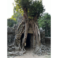 รูปถ่าย กัมพูชา(Cambodia) เสียมราฐ(Siem Reap) ปราสาทตาสม(Ta Som) 2023-01 36