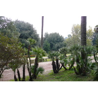 รูปถ่าย อิตาลี(Italy) โรม(Rome) วิลลาโดเรียปัมฟีลี(Villa Doria Pamphili) 2007-11 24