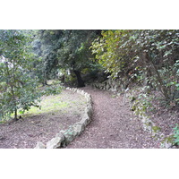 รูปถ่าย อิตาลี(Italy) โรม(Rome) วิลลาโดเรียปัมฟีลี(Villa Doria Pamphili) 2007-11 6
