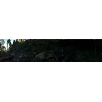 รูปถ่าย ไทย(Thailand) อุทยานแห่งชาติภูหินร่องกล้า(Phu Hin Rong Kla National Park) 2014-12 243