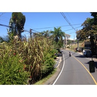 รูปถ่าย คอสตาริกา(Costa Rica) มานวยล์อันโตนีโอ(Manuel Antonio) 2015-03 429