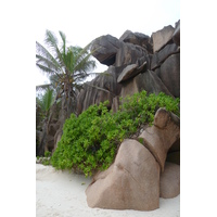 รูปถ่าย เซเชลส์(Seychelles) เกาะลาดีก(La Digue) 2011-10 209