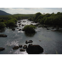 รูปถ่าย ไอร์แลนด์(Ireland) เคอร์รี่(Kerry) ทะเลสาบคารา(Caragh Lake) 2004-05 21