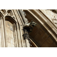 รูปถ่าย อังกฤษ(United Kingdom) ยอร์ก(York) 2011-07 102