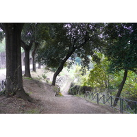 รูปถ่าย อิตาลี(Italy) โรม(Rome) วิลลาโดเรียปัมฟีลี(Villa Doria Pamphili) 2007-11 58