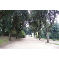 รูปถ่าย อิตาลี(Italy) โรม(Rome) วิลลาโดเรียปัมฟีลี(Villa Doria Pamphili) 2007-11 68