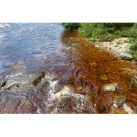 รูปถ่าย อังกฤษ(United Kingdom) สกอตแลนด์(Scotland) อุทยานแห่งชาติแคร์นกอร์มส์(Cairngorms National Park) สะพานอินเวอร์คอลด์(Invercauld Bridge) 2011-07 6