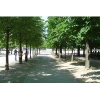 รูปถ่าย ฝรั่งเศส(France) ปารีส(Paris) สวนตุยเลอรี(Garden of Tuileries) 2007-05 12