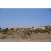 รูปถ่าย อิสราเอล(Israel) นิทซาน(Nitzan) 2007-06 104