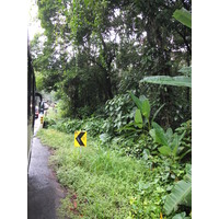รูปถ่าย คอสตาริกา(Costa Rica) ปวยร์โตเบียโฆเดตาลามังกา(Puerto Viejo de Talamanca) 2015-03 35