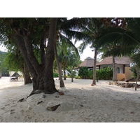 รูปถ่าย ไทย(Thailand) เกาะเสม็ด(Ko Samet) 2014-12 77