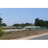 รูปถ่าย อิสราเอล(Israel) นิทซาน(Nitzan) 2007-06 23