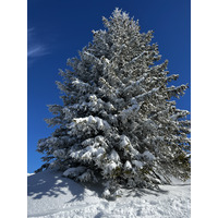 รูปถ่าย ฝรั่งเศส(France) เมแฌฟว์(Megeve) 2022-02 11