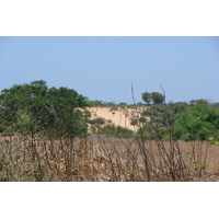 รูปถ่าย อิสราเอล(Israel) นิทซาน(Nitzan) 2007-06 43