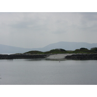 รูปถ่าย ไอร์แลนด์(Ireland) เคอร์รี่(Kerry) ปาร์คนาสิลล่า(Parknasilla) 2004-05 18