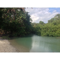 รูปถ่าย คอสตาริกา(Costa Rica) มานวยล์อันโตนีโอ(Manuel Antonio) 2015-03 394