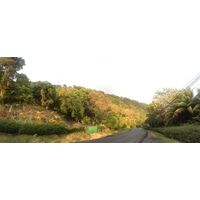 รูปถ่าย คอสตาริกา(Costa Rica) โดมินิกัล(Dominical) 2015-03 137