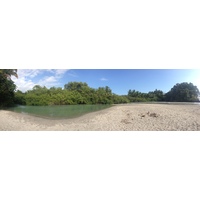 รูปถ่าย คอสตาริกา(Costa Rica) มานวยล์อันโตนีโอ(Manuel Antonio) 2015-03 350