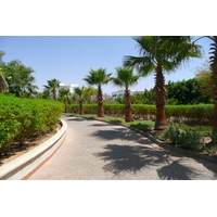 รูปถ่าย อียิปต์(Egypt) ชาร์มเอลชีค(Sharm el Sheikh) โรงแรมไฮแอต(Hyatt Hotel) 2008-06 142