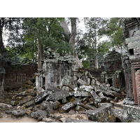 รูปถ่าย กัมพูชา(Cambodia) เสียมราฐ(Siem Reap) ปราสาทตาพรหม(Ta Prohm) 2023-01 56