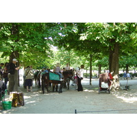 รูปถ่าย ฝรั่งเศส(France) ปารีส(Paris) สวนตุยเลอรี(Garden of Tuileries) 2007-05 6