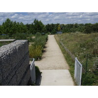 รูปถ่าย ฝรั่งเศส(France) โคลอมบ์(Colombes) เกาะมาร็องต์(L'ile Marrante) 2007-07 37