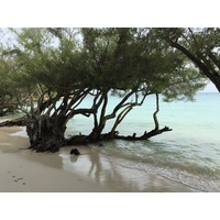 รูปถ่าย ไทย(Thailand) เกาะเสม็ด(Ko Samet) 2014-12 271