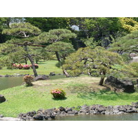 รูปถ่าย ญี่ปุ่น(Japan) โตเกียว(Tokyo) สวนคิวชิบะริคิว(Kyu Shiba rikyu Gardens) 2010-06 4
