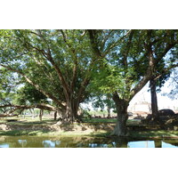 รูปถ่าย ไทย(Thailand) สุโขทัย(Sukhothai) 2010-12 84