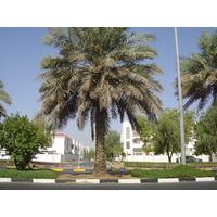 รูปถ่าย สหรัฐอาหรับเอมิเรตส์(United Arab Emirates) อาเลอิน(Al Ain) 2005-09 7