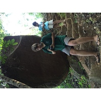 รูปถ่าย ไทย(Thailand) อุทยานแห่งชาติภูหินร่องกล้า(Phu Hin Rong Kla National Park) 2014-12 133