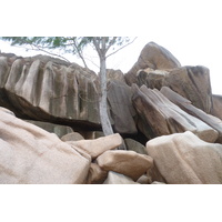 รูปถ่าย เซเชลส์(Seychelles) เกาะลาดีก(La Digue) 2011-10 105