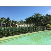 รูปถ่าย ไทย(Thailand) โรงแรมแมริออท ระยอง(Marriott Rayong) 2016-01 172