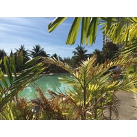 รูปถ่าย ไทย(Thailand) โรงแรมแมริออท ระยอง(Marriott Rayong) 2016-01 158
