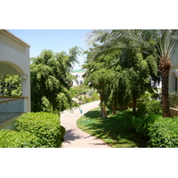 รูปถ่าย อียิปต์(Egypt) ชาร์มเอลชีค(Sharm el Sheikh) โรงแรมไฮแอต(Hyatt Hotel) 2008-06 162