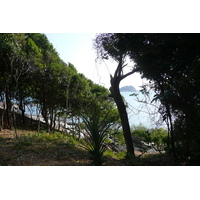 รูปถ่าย ไทย(Thailand) เกาะเสม็ด(Ko Samet) 2009-01 86