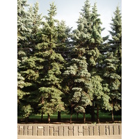 รูปถ่าย รัสเซีย(Russia) นิชนีย์นอฟโกร็อด(Nizhniy Novgorod) 2006-07 84