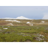 รูปถ่าย ไอซ์แลนด์(Iceland) ถนนหมายเลข 39 ไปเรคยาวิก(Road 39 to Reykjavik) 2003-03 26