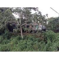 รูปถ่าย คอสตาริกา(Costa Rica) ตูร์รีอัลบา(Turrialba) 2015-03 24